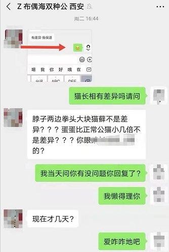 有藓蛋蛋过小配不了种花一万多买这猫有啥用