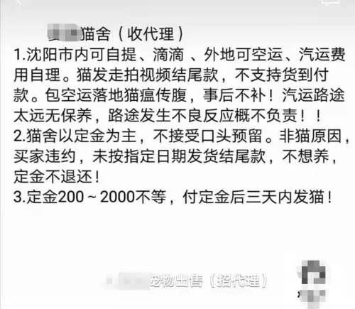 有藓蛋蛋过小配不了种花一万多买这猫有啥用